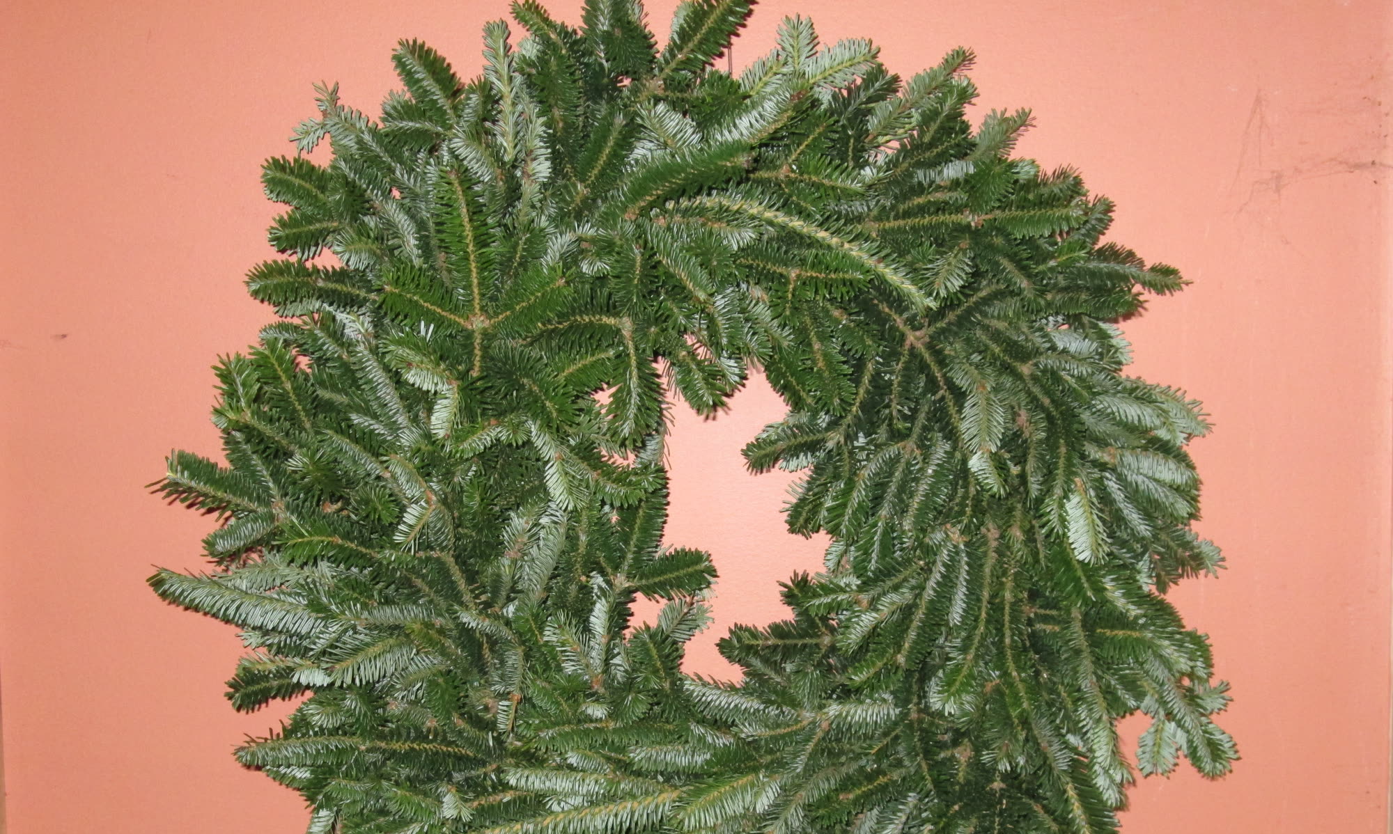 A plain 12-inch Fraser fir wreath